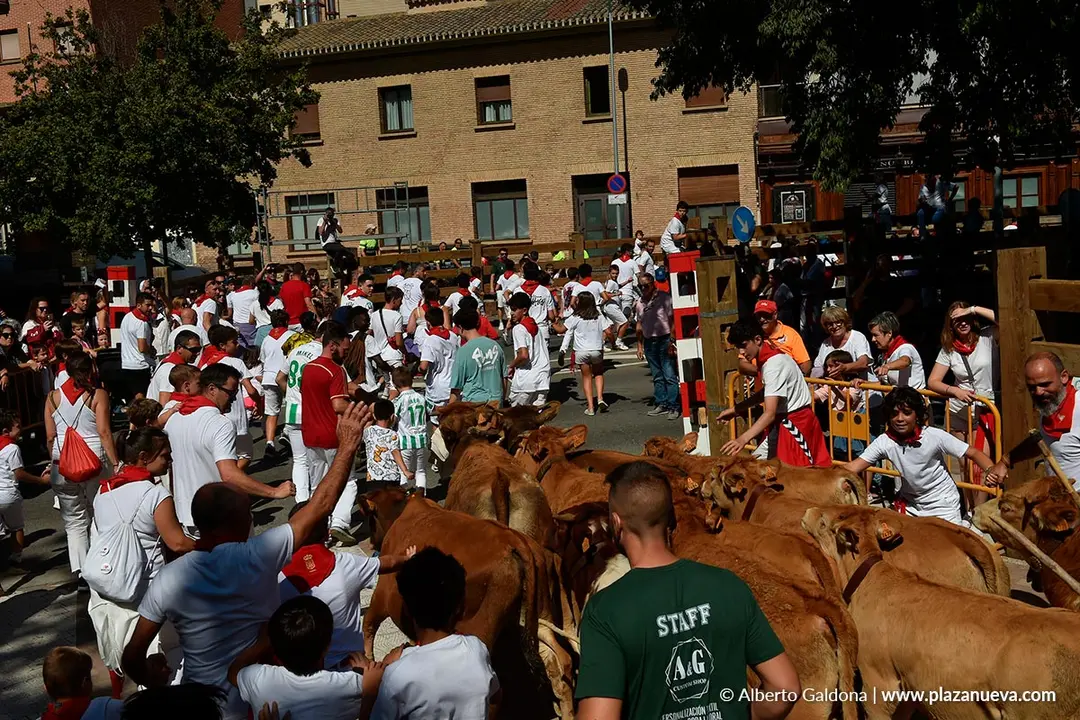 Trashumancia infantil en Tudela d&iacute;a 30 2025 13