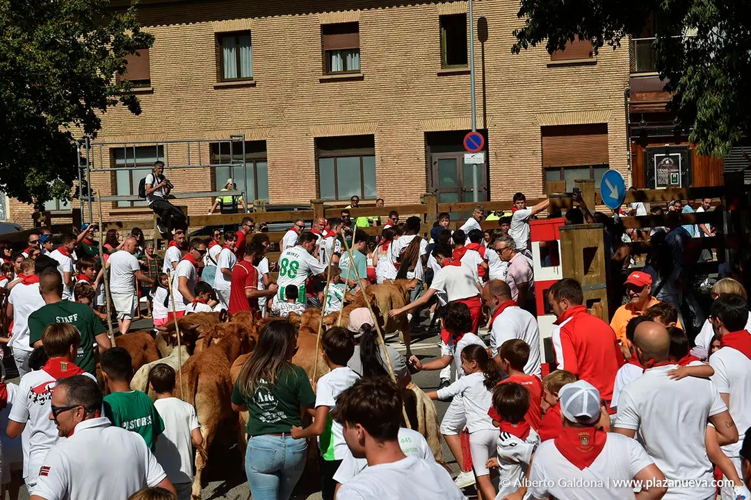 Trashumancia infantil en Tudela d&iacute;a 30 2025 14