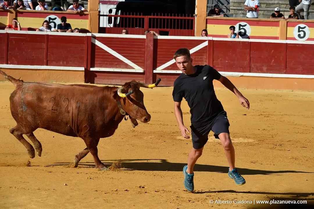 Vaquillas populares por la tarde en Tudela d&iacute;a 30 2025 1