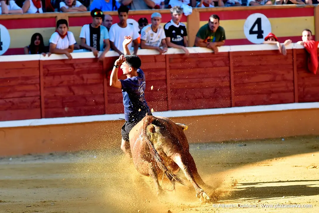 Vaquillas populares por la tarde en Tudela d&iacute;a 30 2025 2