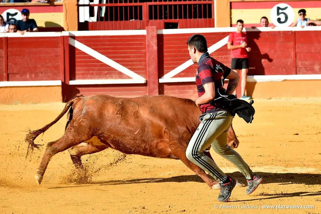 Vaquillas populares por la tarde en Tudela d&iacute;a 30 2025 3