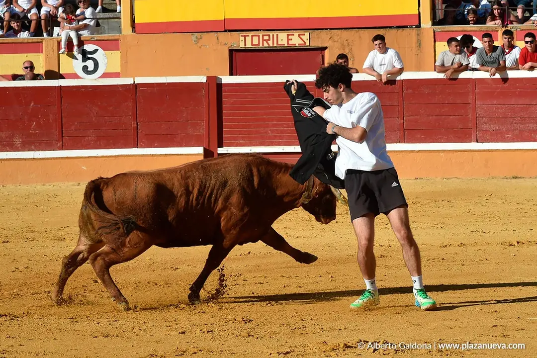 Vaquillas populares por la tarde en Tudela d&iacute;a 30 2025 4