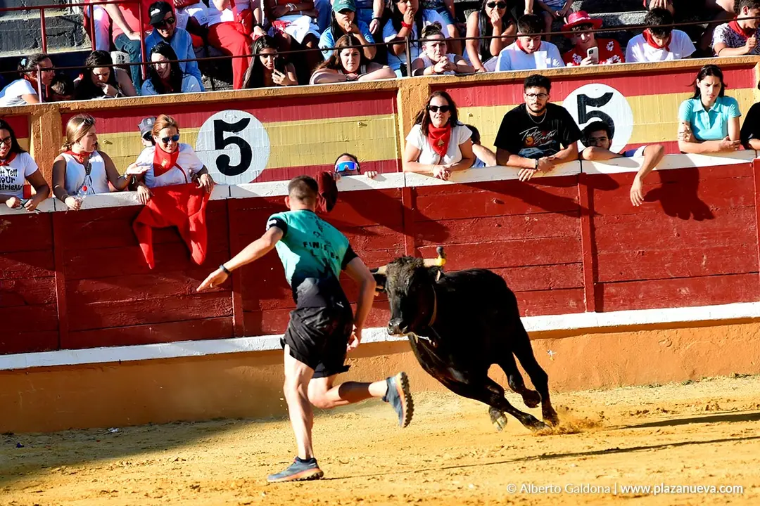 Vaquillas populares por la tarde en Tudela d&iacute;a 30 2025 5