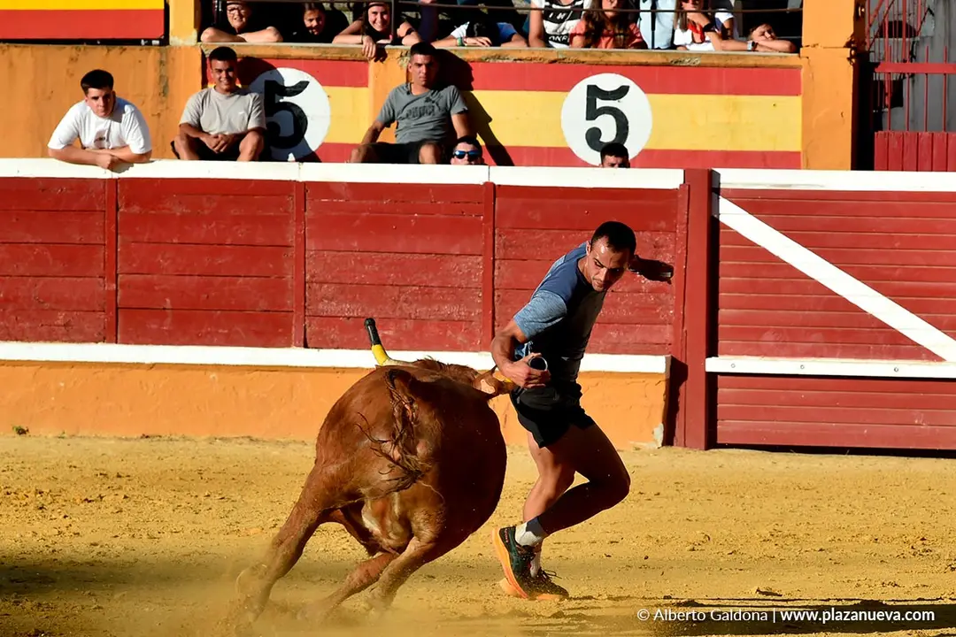 Vaquillas populares por la tarde en Tudela d&iacute;a 30 2025 6