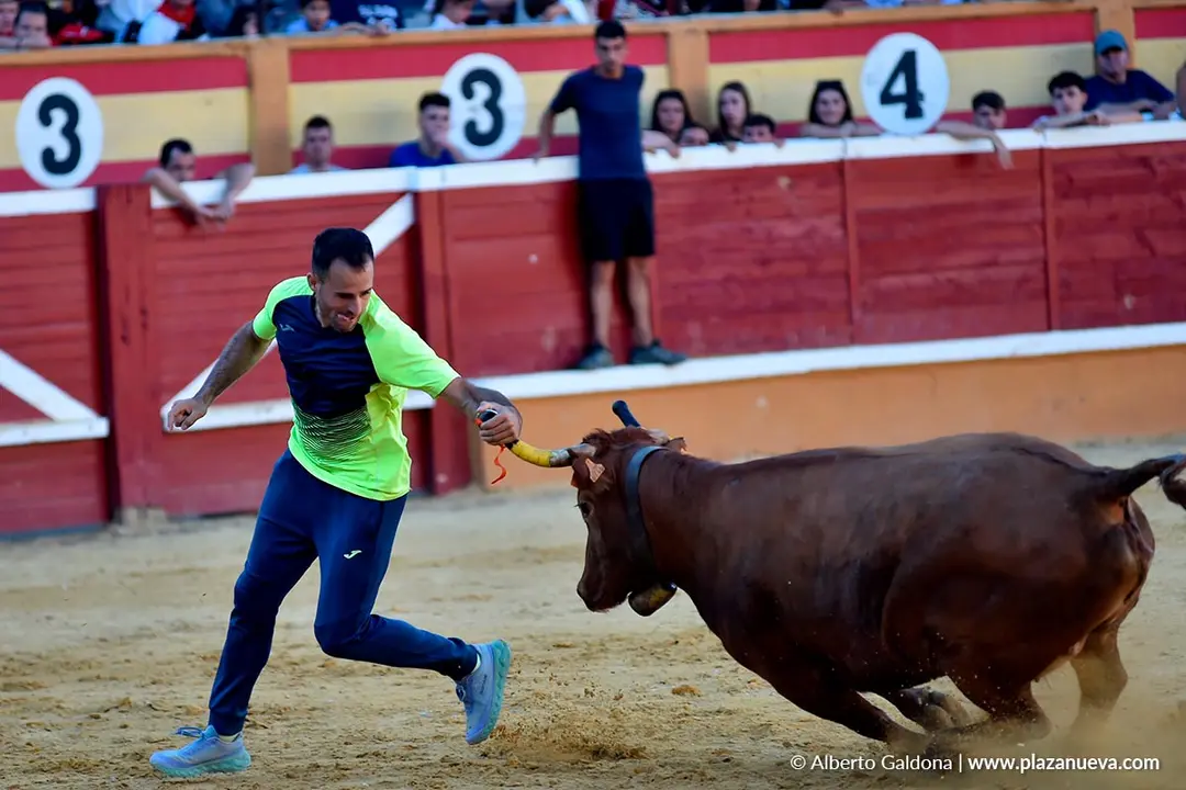 Vaquillas populares por la tarde en Tudela d&iacute;a 30 2025 7