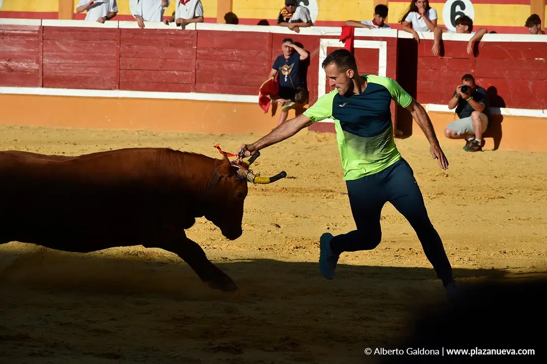 Vaquillas populares por la tarde en Tudela d&iacute;a 30 2025 8
