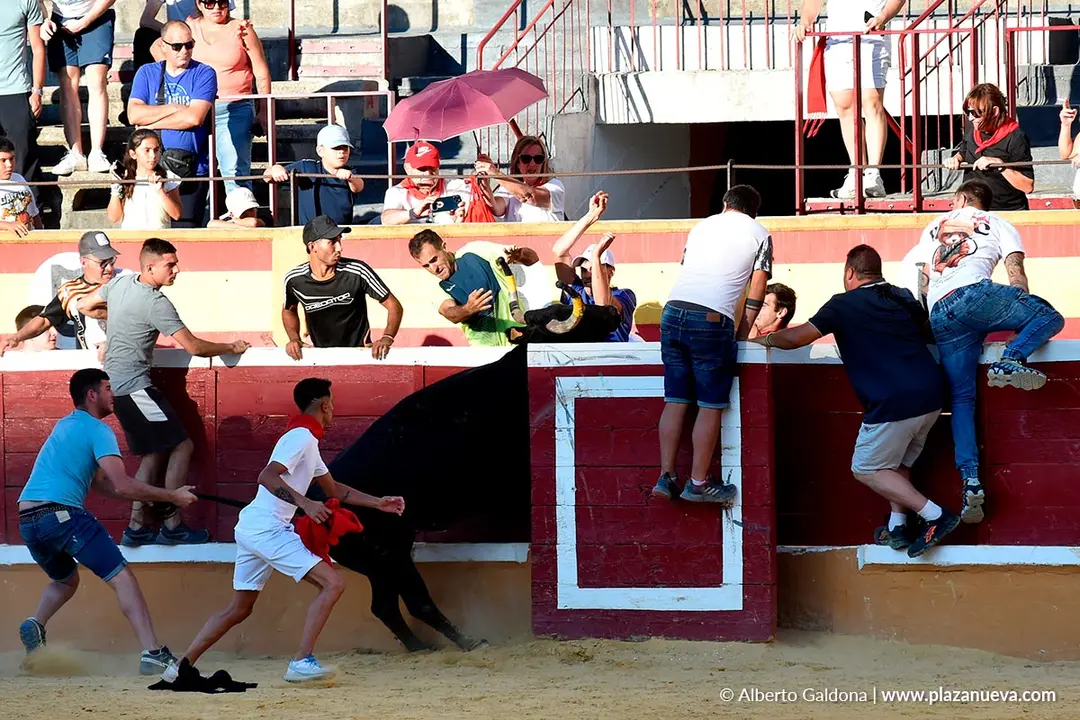 Vaquillas populares por la tarde en Tudela d&iacute;a 30 2025 9