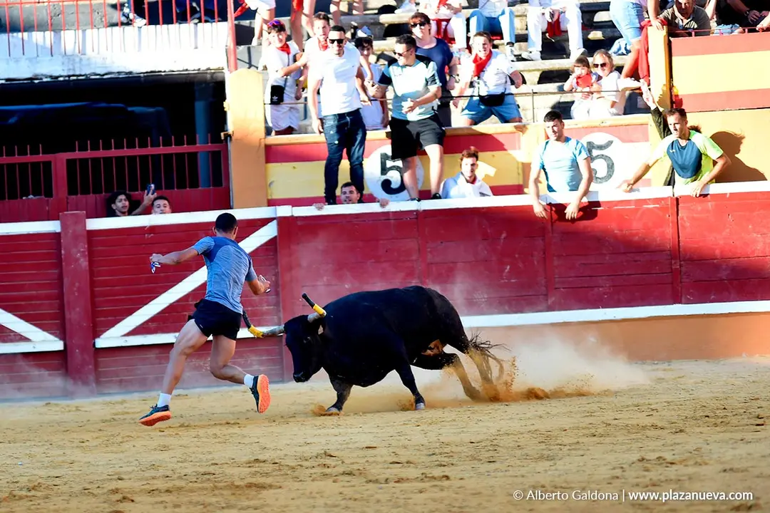 Vaquillas populares por la tarde en Tudela d&iacute;a 30 2025 11