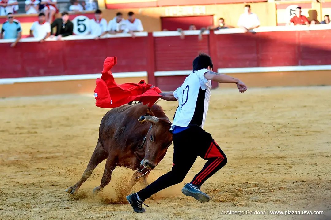Vaquillas populares por la tarde en Tudela d&iacute;a 30 2025 12