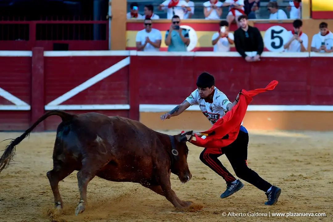 Vaquillas populares por la tarde en Tudela d&iacute;a 30 2025 13