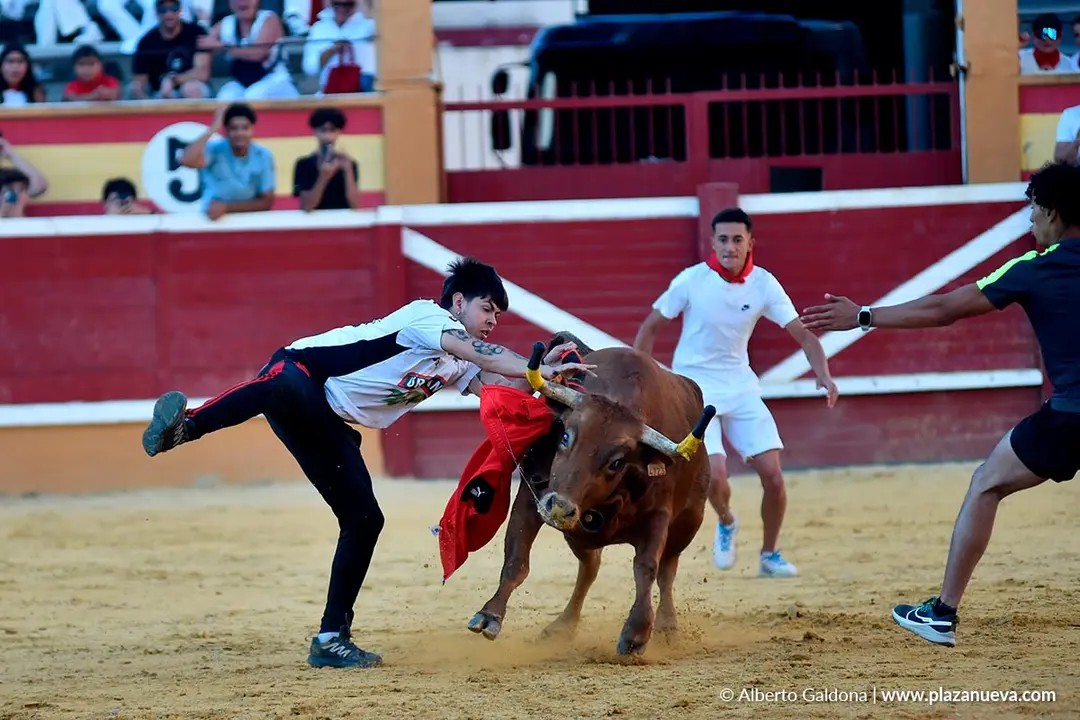Vaquillas populares por la tarde en Tudela d&iacute;a 30 2025 15