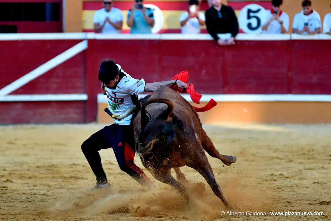 Vaquillas populares por la tarde en Tudela d&iacute;a 30 2025 14