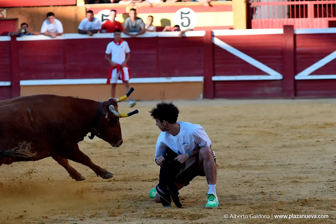 Vaquillas populares por la tarde en Tudela d&iacute;a 30 2025 16