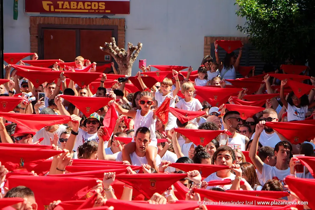 Fiestas de Arguedas 2025 28