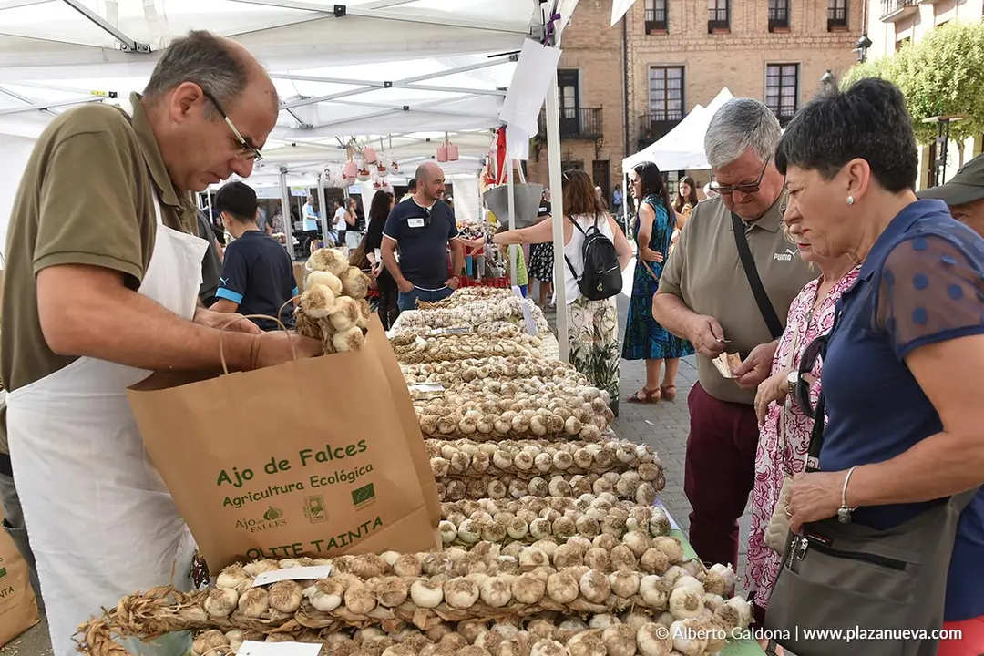 D&iacute;a del Ajo de Falces 2025 8