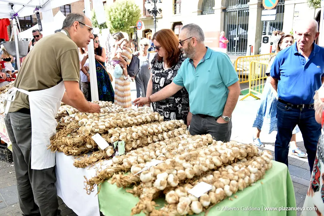 D&iacute;a del Ajo de Falces 2025 11