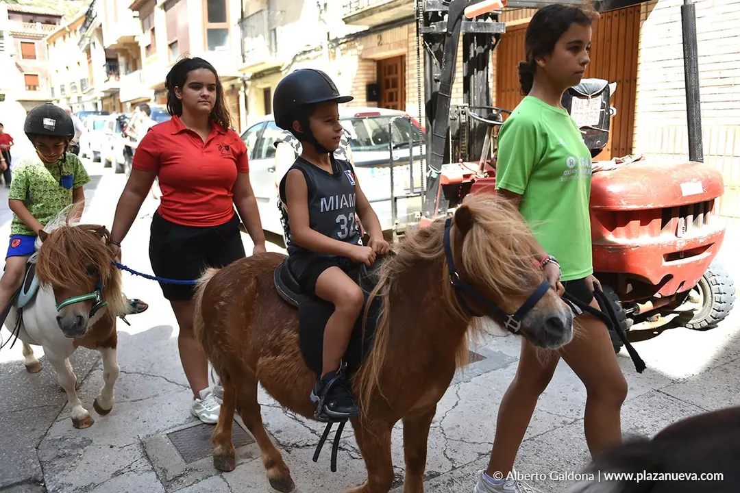 D&iacute;a del Ajo de Falces 2025 26
