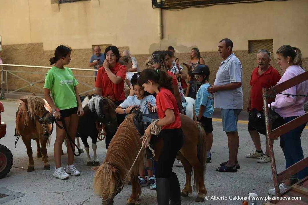 D&iacute;a del Ajo de Falces 2025 28