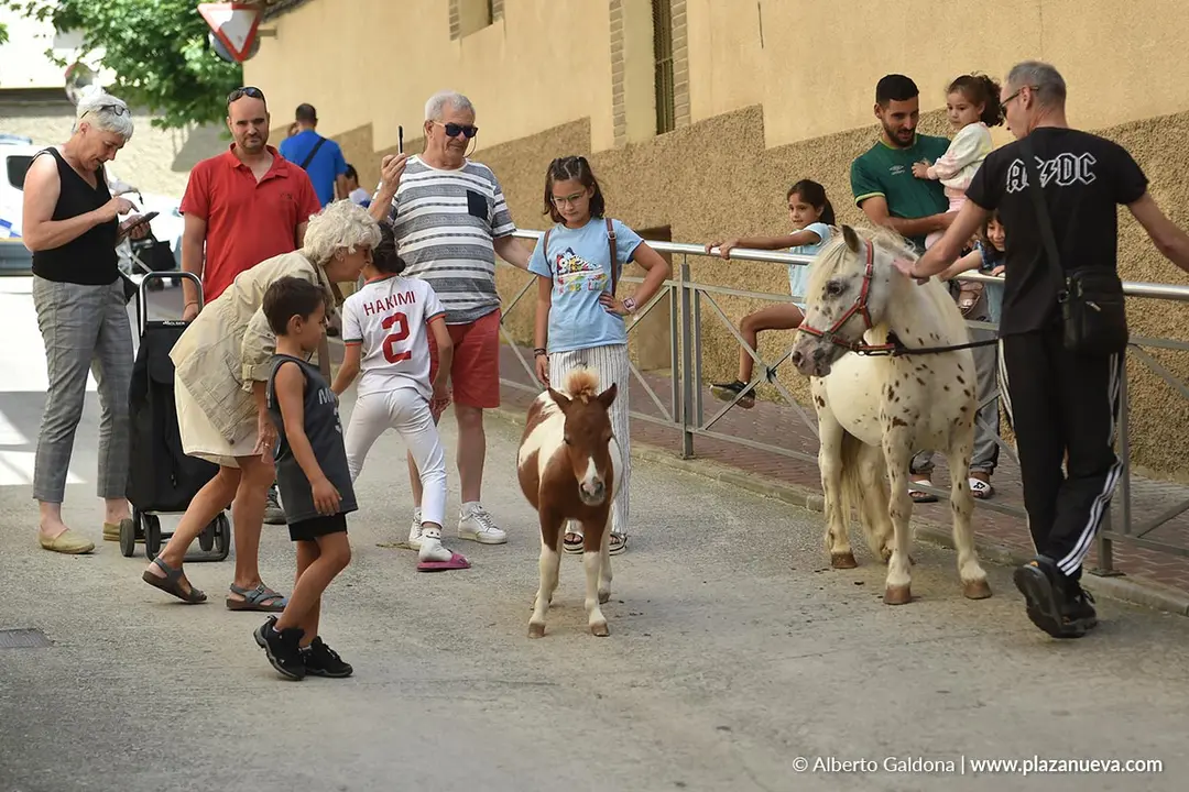 D&iacute;a del Ajo de Falces 2025 30