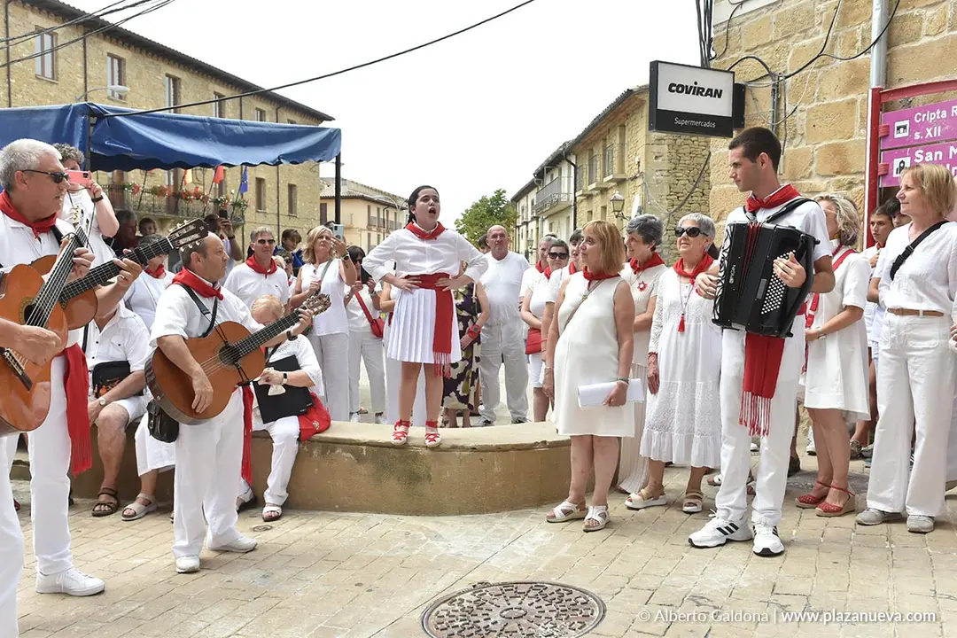 Fiestas de San Mart&iacute;n de Unx 2025   D&iacute;a de la Patrona 31