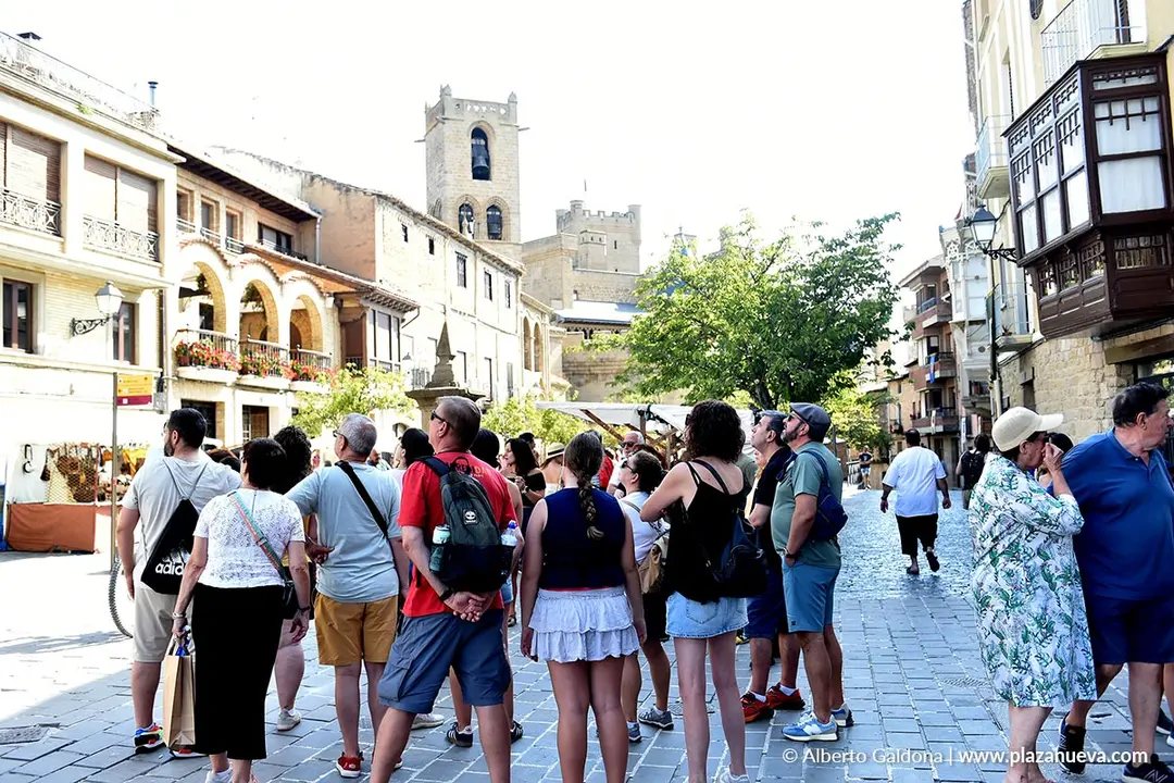 Fiestas Medievales de Olite 2025 2