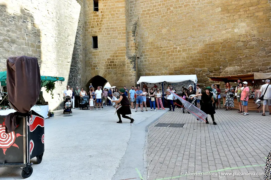 Fiestas Medievales de Olite 2025 3