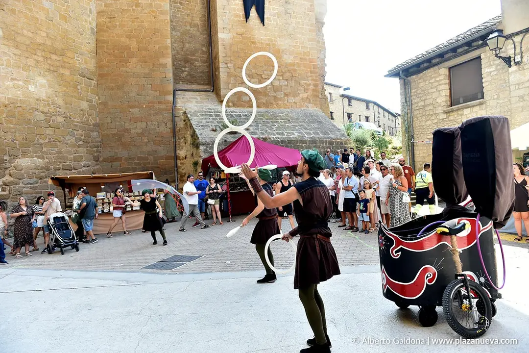 Fiestas Medievales de Olite 2025 4