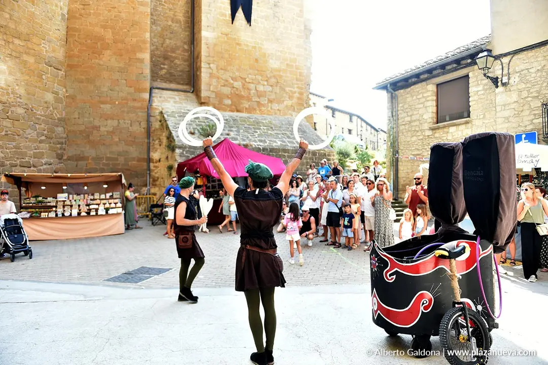 Fiestas Medievales de Olite 2025 5