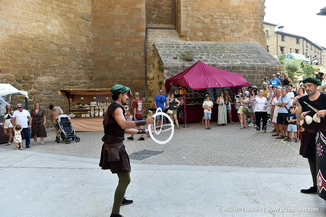 Fiestas Medievales de Olite 2025 6