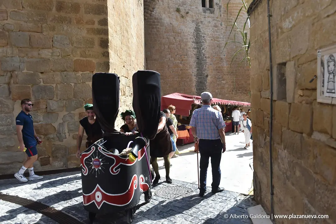 Fiestas Medievales de Olite 2025 7