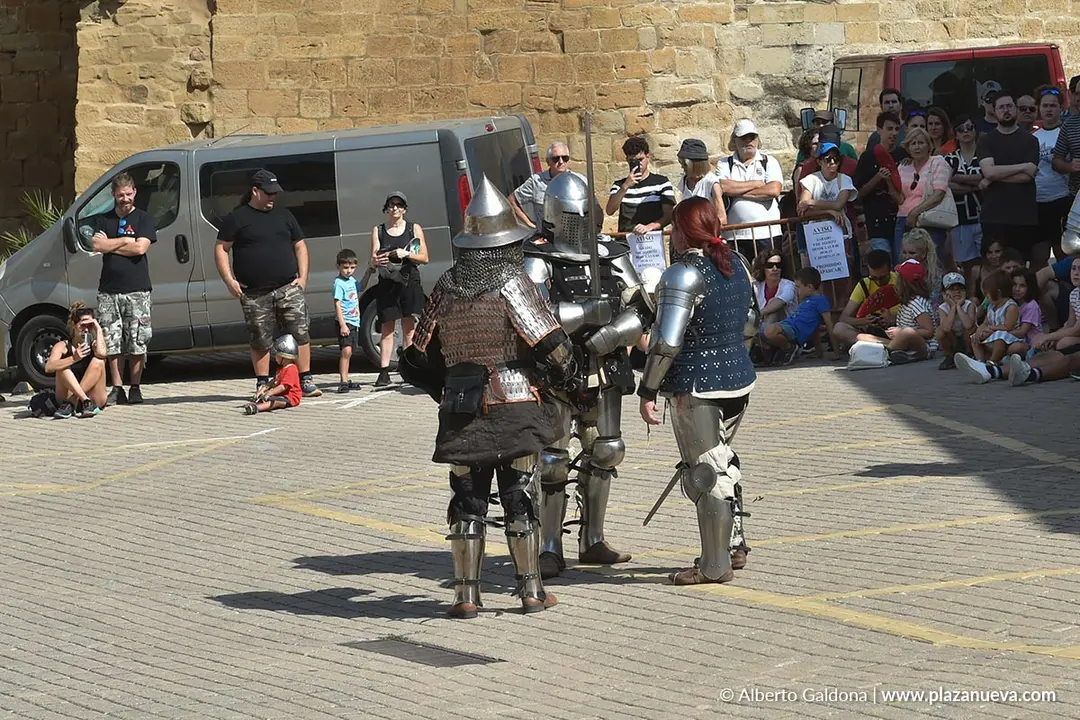 Fiestas Medievales de Olite 2025 14