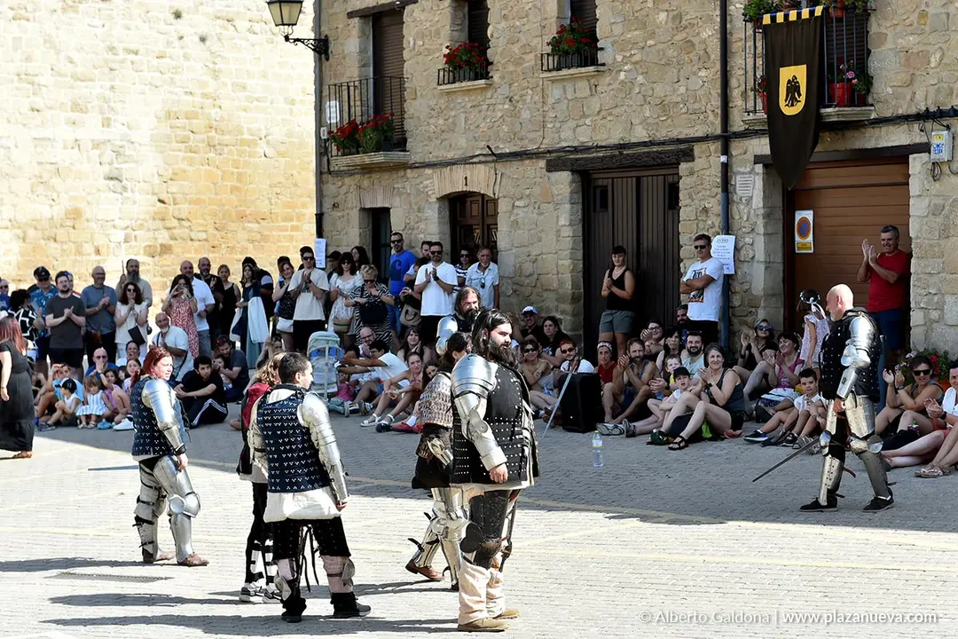 Fiestas Medievales de Olite 2025 17