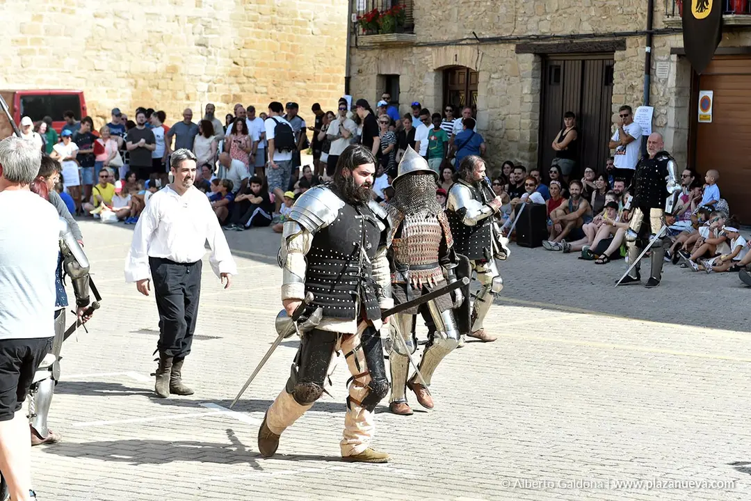 Fiestas Medievales de Olite 2025 16