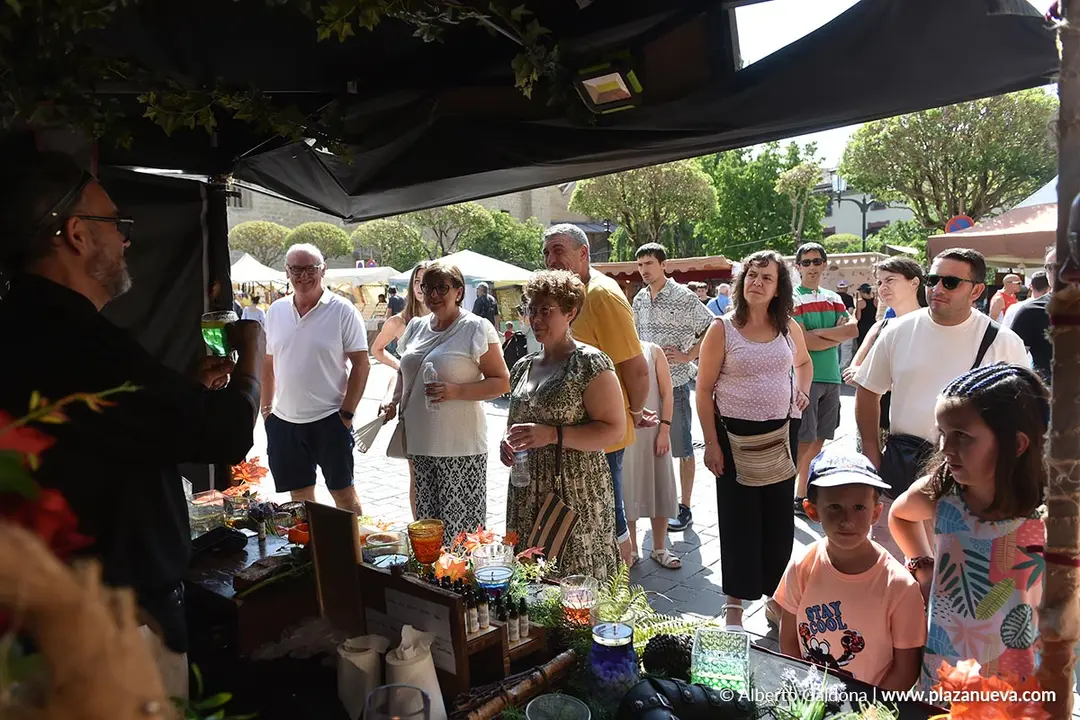 Fiestas Medievales de Olite 2025 27