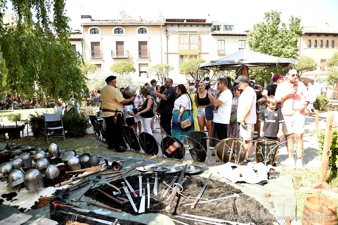 Fiestas Medievales de Olite 2025 33