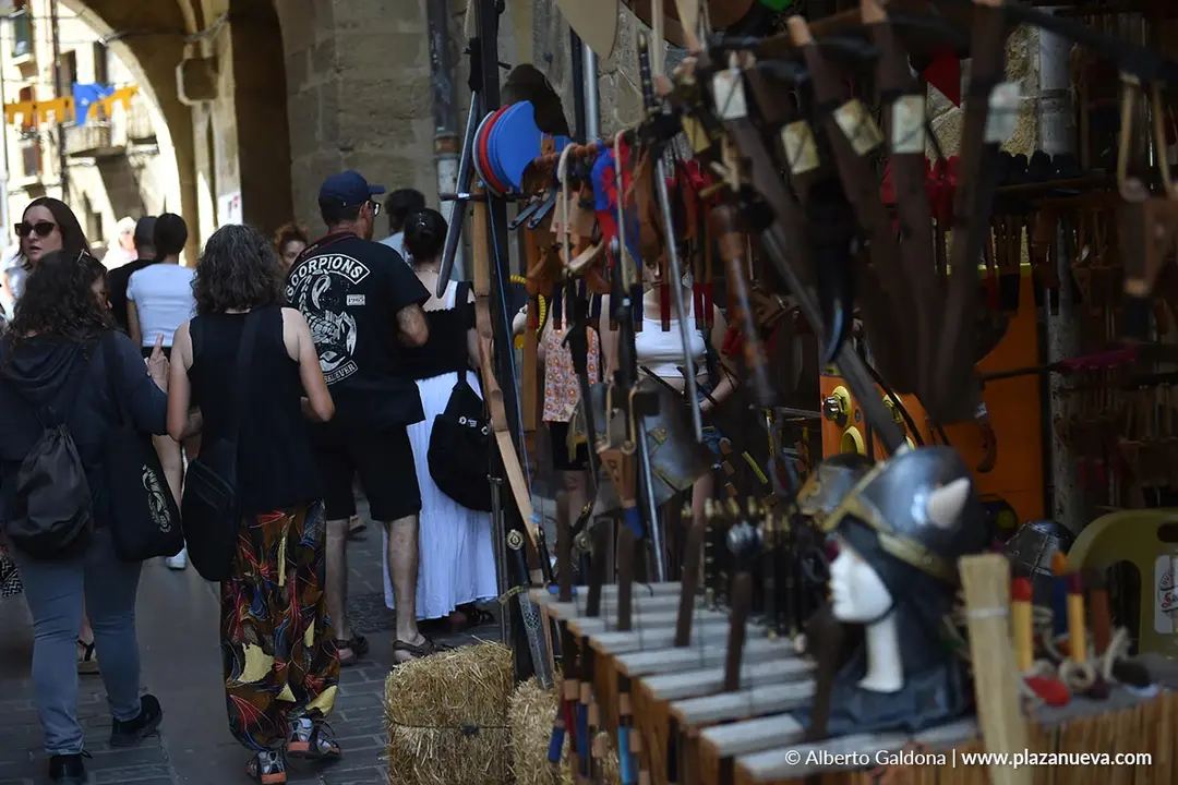 Fiestas Medievales de Olite 2025 37