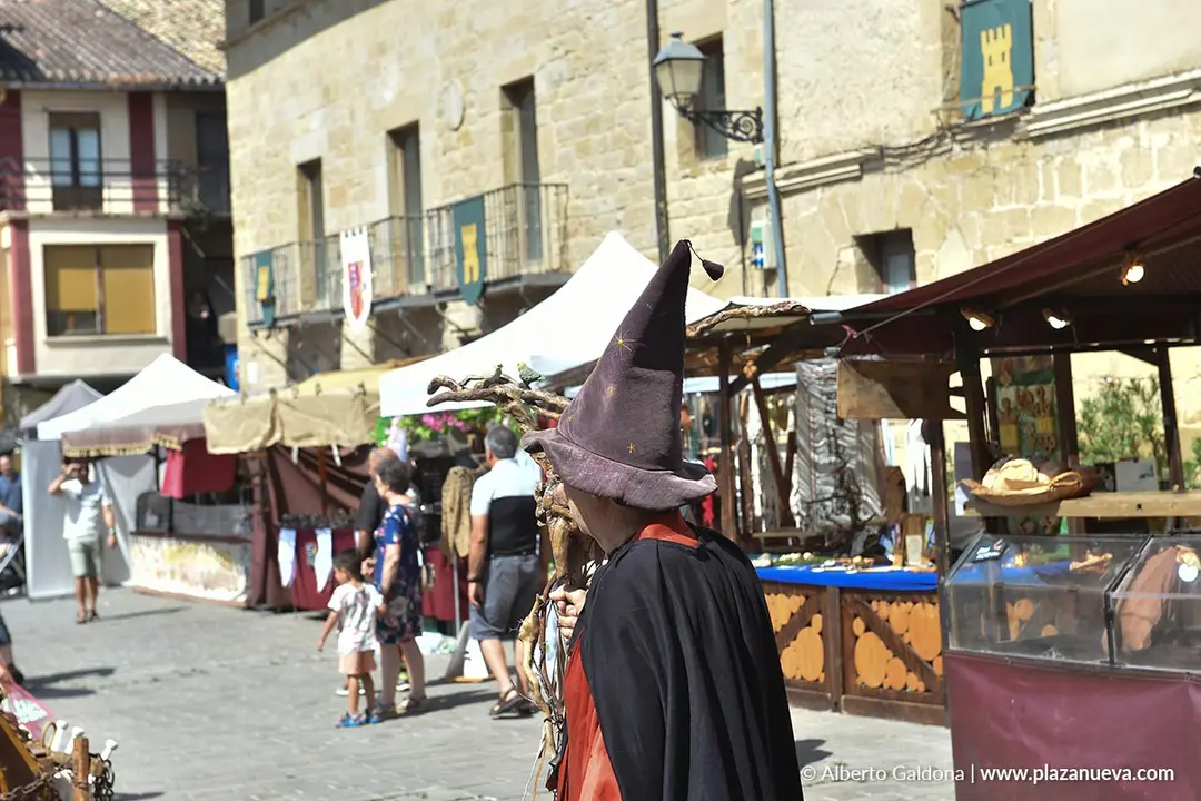 Fiestas Medievales de Olite 2025 60