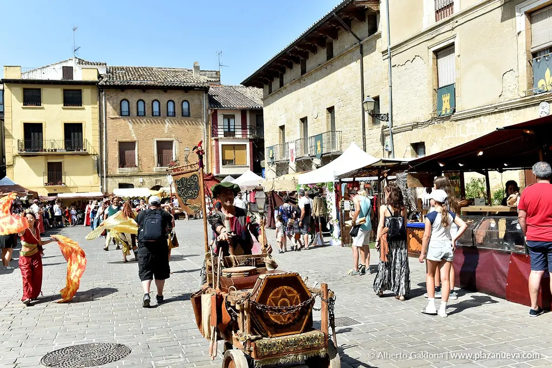 Fiestas Medievales de Olite 2025 61