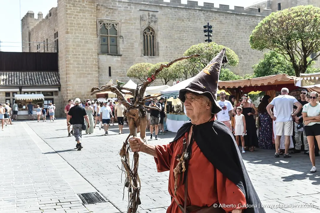 Fiestas Medievales de Olite 2025 76