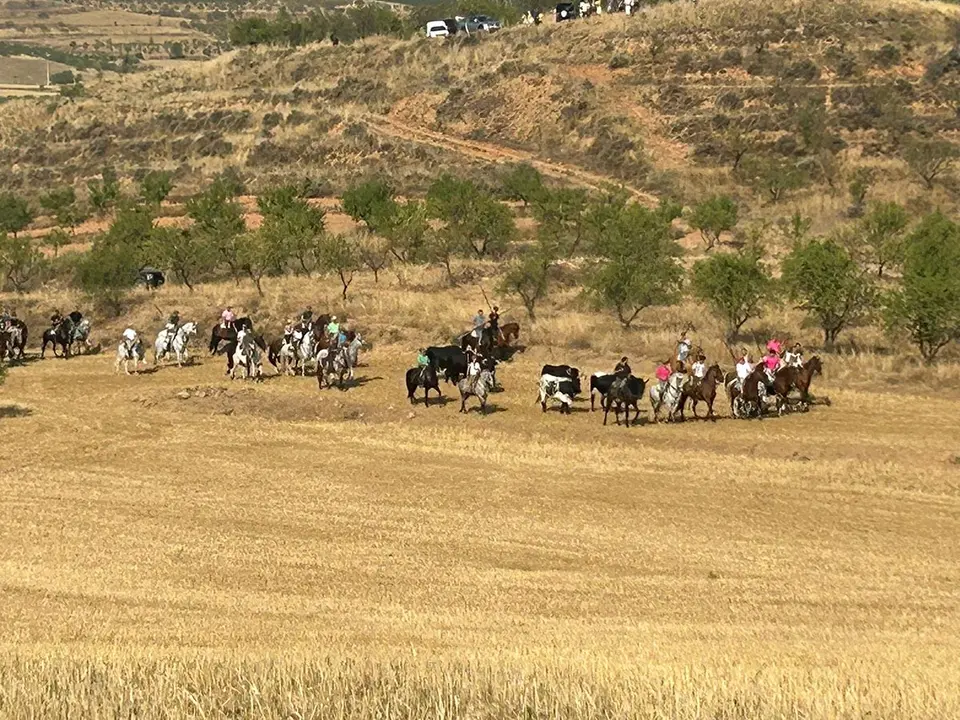 Fiestas de Valverde 2025 Saca 1