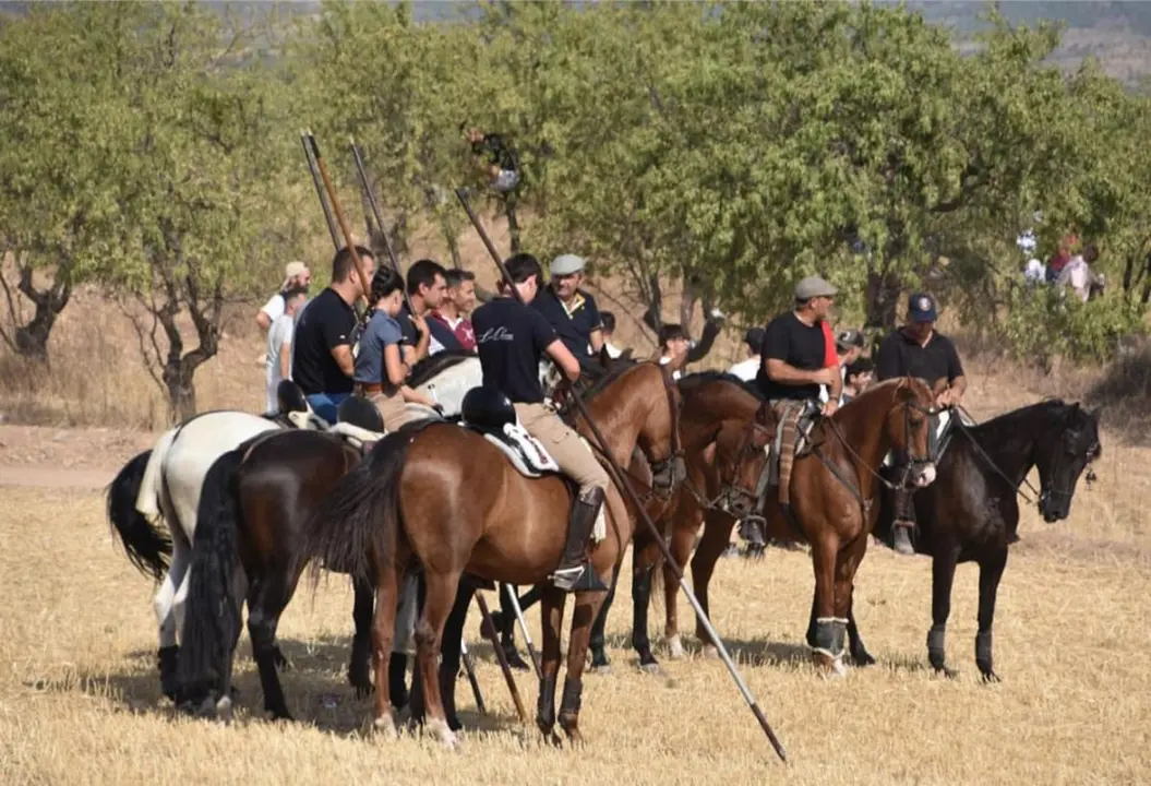 Fiestas de Valverde 2025 Saca 3