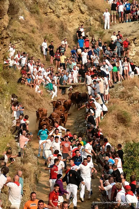 Fiestas de Falces 2025 Encierro del Pil&oacute;n d&iacute;a 17 1