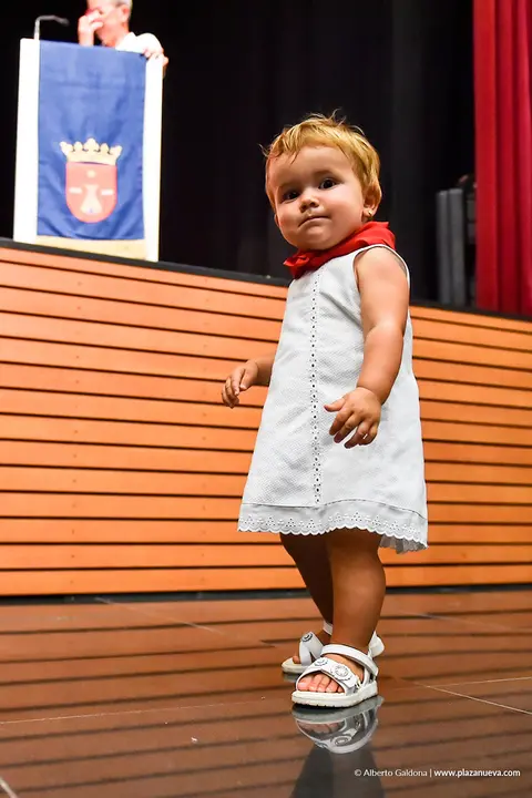 Fiestas de Falces 2025 Pa&ntilde;uelicos 19