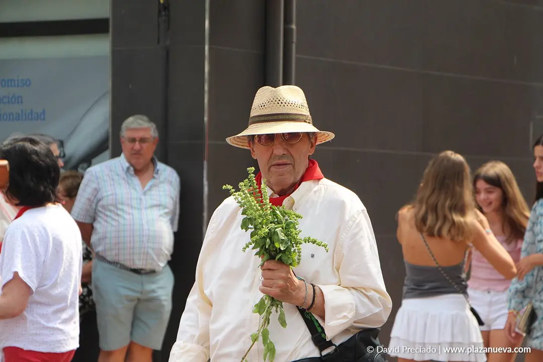 Fiestas de Alfaro 2025 Procesi&oacute;n 10