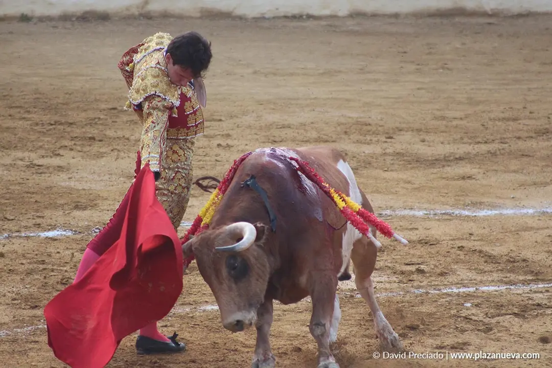 Fiestas de Alfaro 2025 Corrida de toros 3