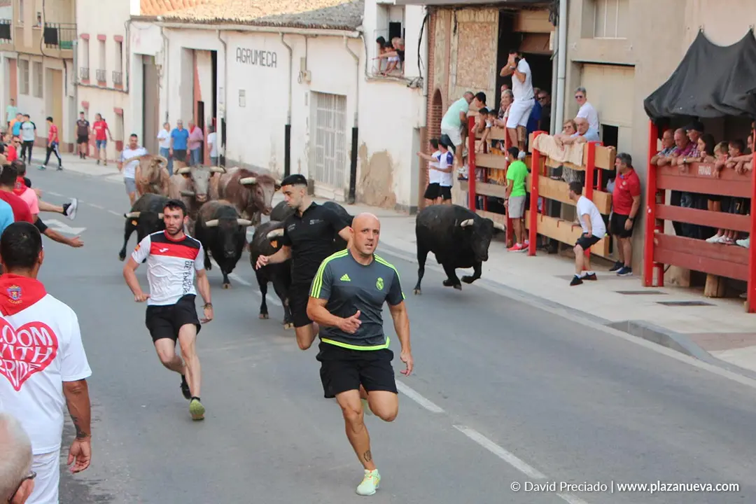 Fiestas de Alfaro 2025 Encierro d&iacute;a 15 1