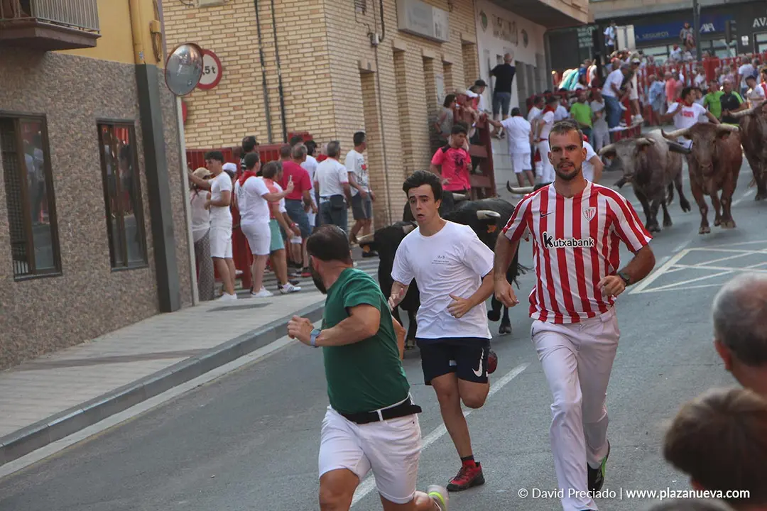 Fiestas de Alfaro 2025 Encierro d&iacute;a 15 2