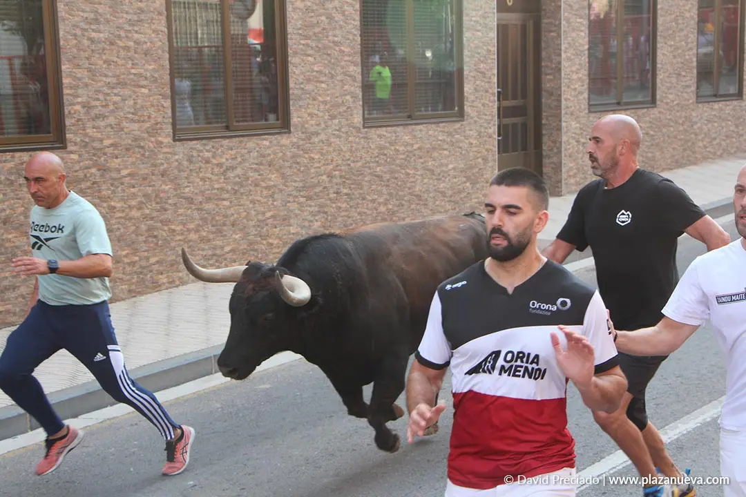 Fiestas de Alfaro 2025 Encierro d&iacute;a 15 3