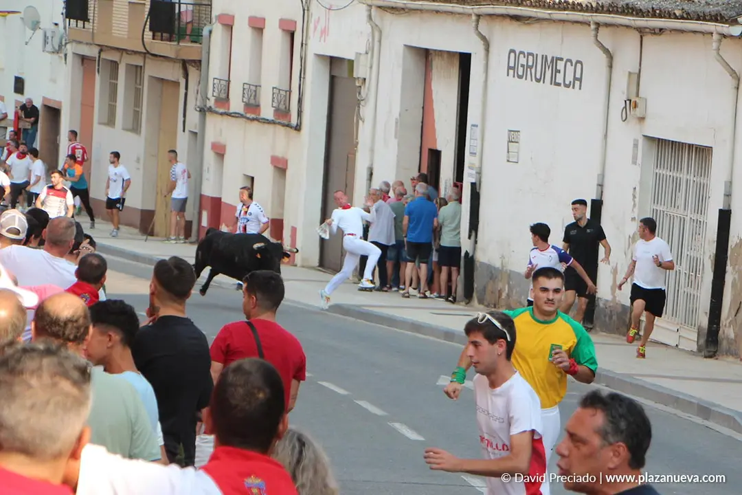 Fiestas de Alfaro 2025 Encierro d&iacute;a 15 4