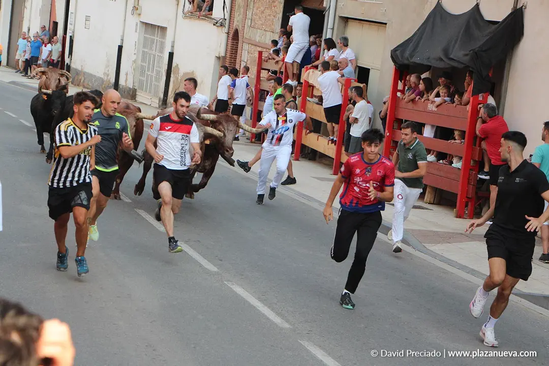 Fiestas de Alfaro 2025 Encierro d&iacute;a 15 5